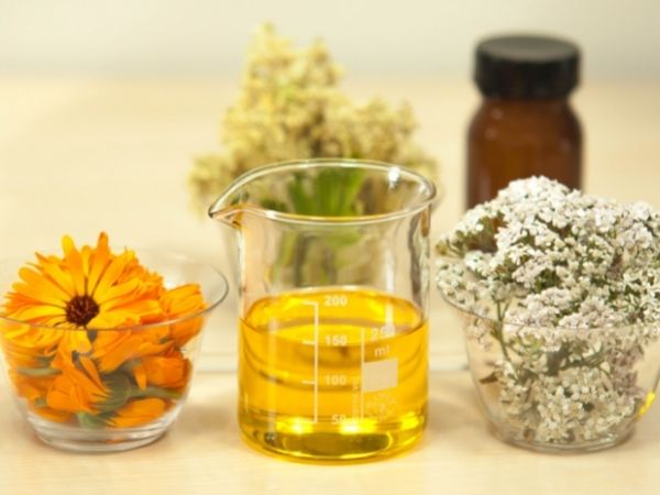 benefícios do óleo essencial de cânfora
