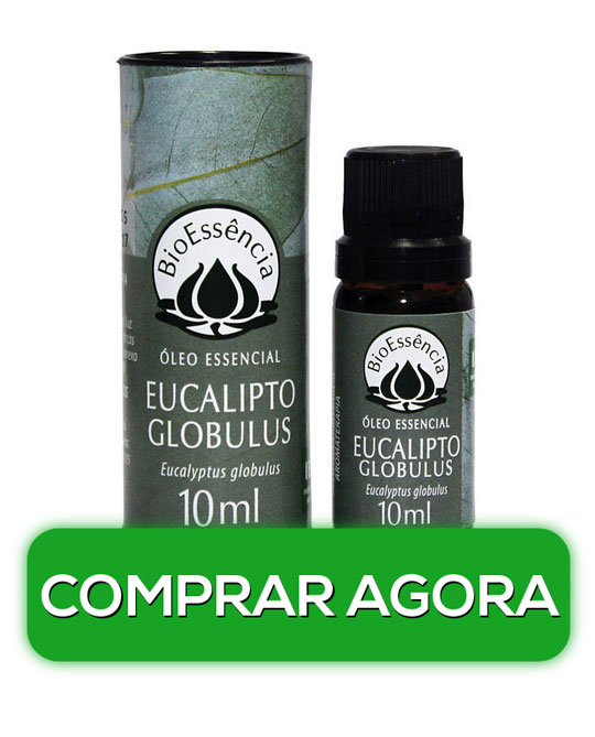 óleo essencial eucalipto
